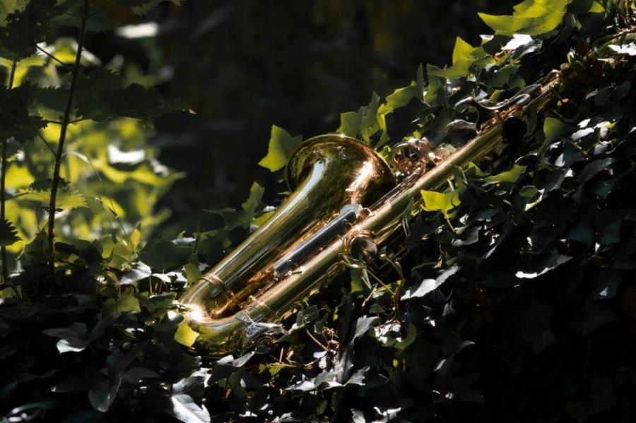 upoutavka-sax7