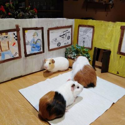 Vo Vytvarne Prace 015